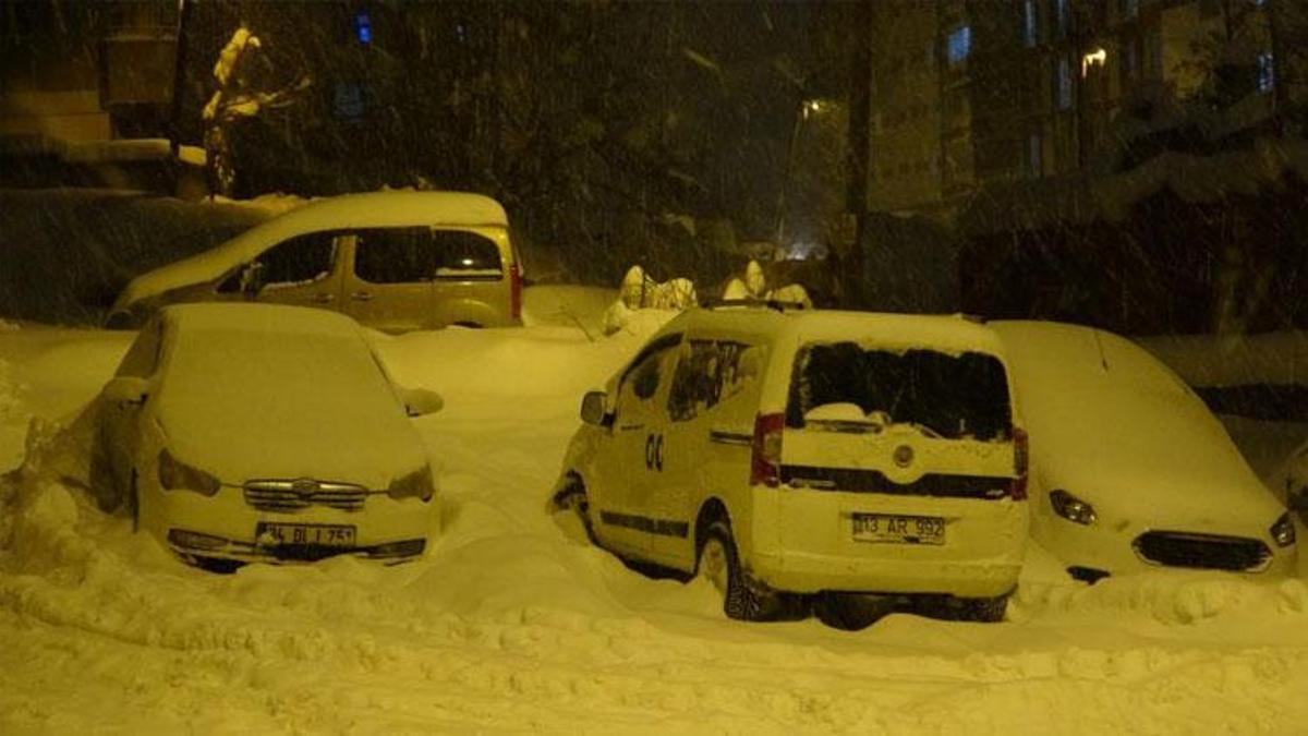 Bitlis’te yoğun kar ve tipi hayatı olumsuz etkiledi