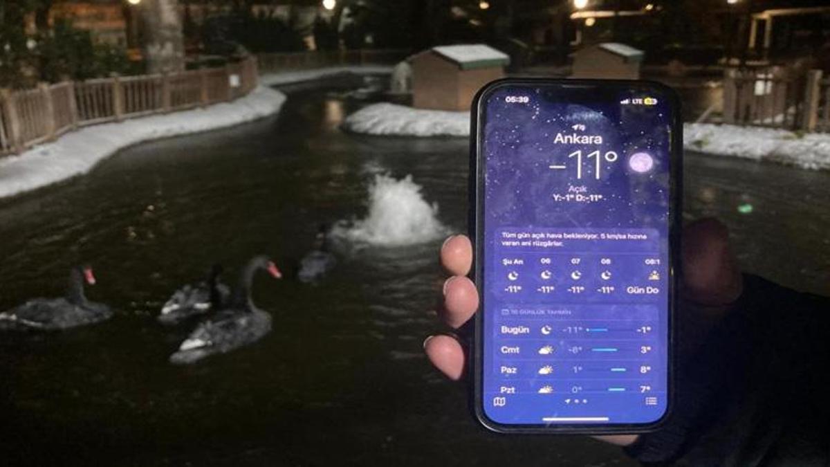 Ankara eksi 11 derece ile buz kesti! Kuğulu Park dondu