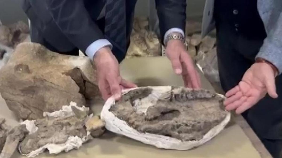 Iğdır'ın köyünde keşfedildi! Dünyada böylesi yok, 10 metre uzunluğunda, 5 metre yüksekliğinde