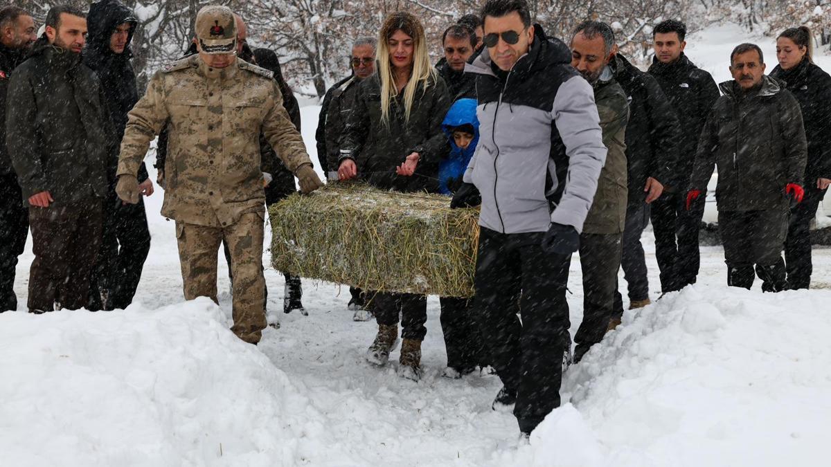 Tunceli'de kar kalınlığı yarım metreyi aştı; yaban hayvanları için doğaya yem bırakıldı
