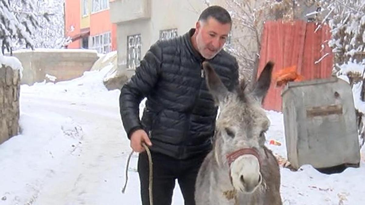 Muşlu vatandaş sokak sokak gezip hepsini bir araya topluyor: Terk edilen at ve eşekler için ahırını ikiye böldü!
