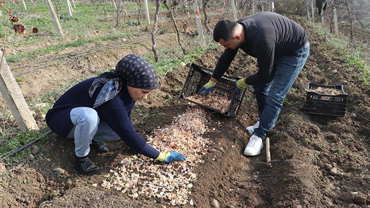 Tekstili bıraktı, eşiyle üretime başladı! Hobi olarak ektiği o bitkiyle servet kazandı: Şimdi siparişlere yetişmiyor