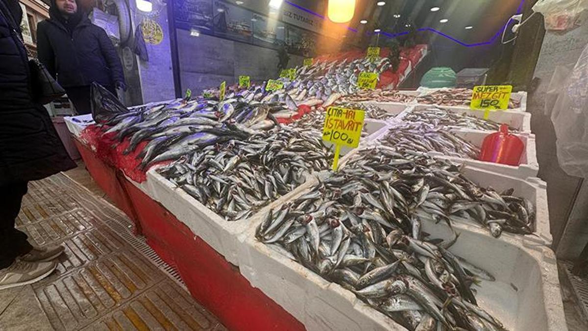 Samsun'da hamsi bolluğu! Kilogramı 130 liradan satılıyor