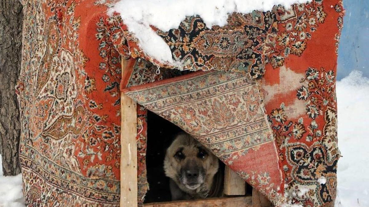 Atatürk ABD için onay vermiş! 1938'de Erzurum'dan seçilip yola çıktılar