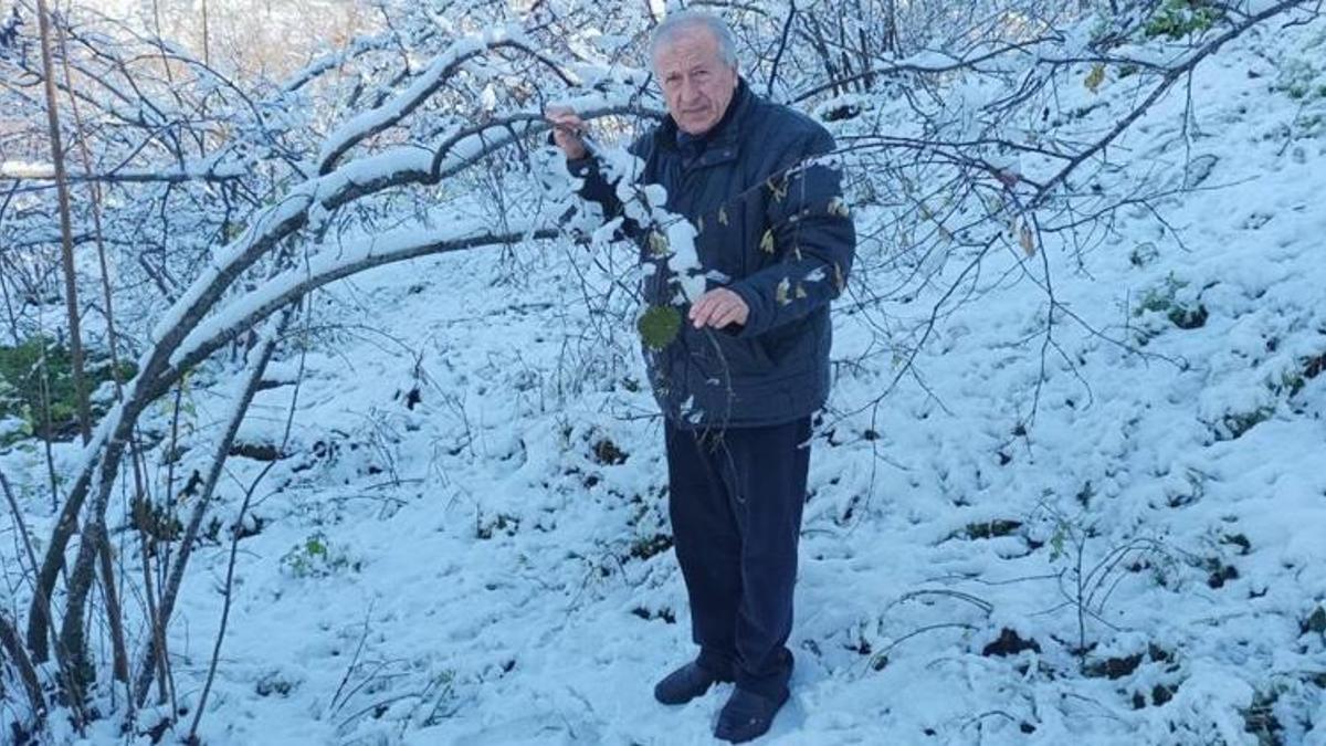 Giresun'da fındık üreticisi bayram etti, can suyu geldi! Verim artacak