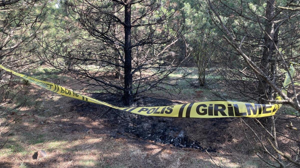Tartıştığı sevgilisini boğarak öldürüp, cesedini 2 kez benzin dökerek yakmış