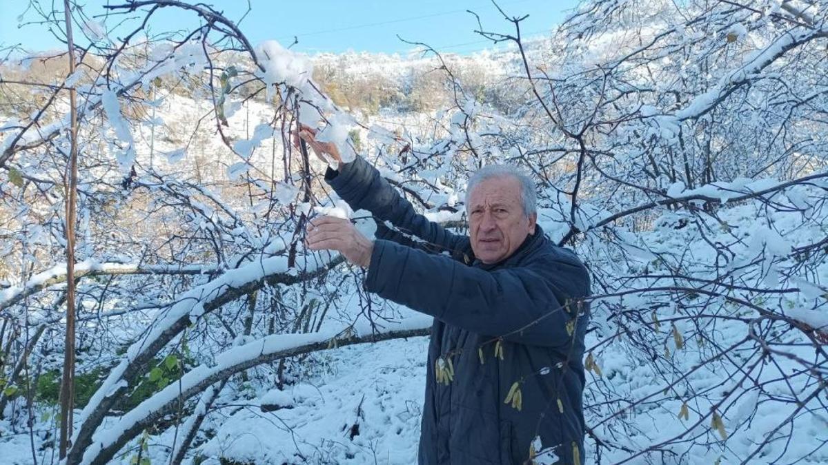 Yağan kar en çok fındık üreticisini sevindiriyor