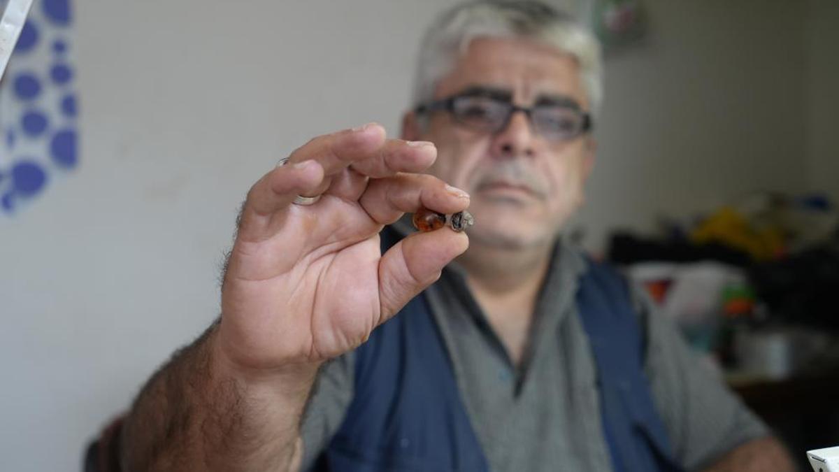 Bayburt'ta doğada toplarken rastladı: Atölyede kesim sırasında gerçeği anladı