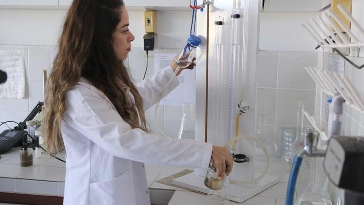 Adana'da başladı! Tüm ilçelerde hizmet verilecek