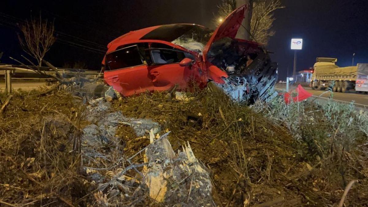 Eskişehir'de kaza sonrası ağaca tırmandı!