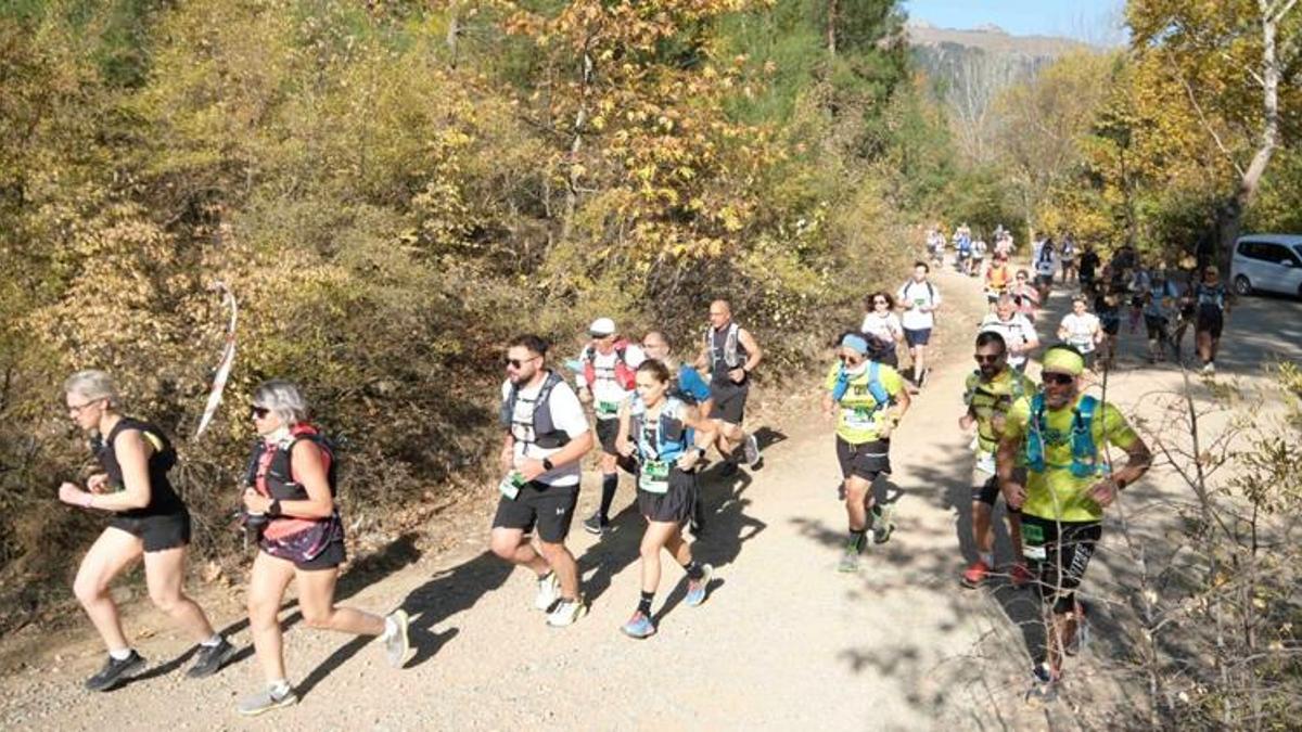 Adana’da ilk ve tek! Pozantı'da başlıyor