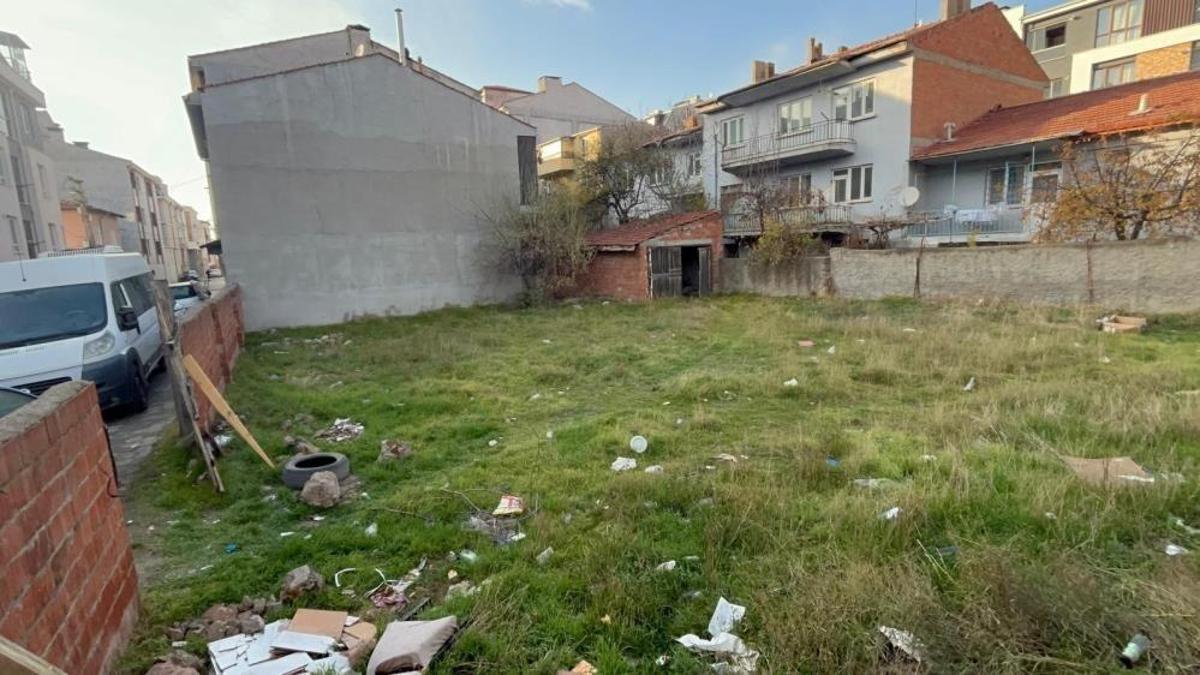 Boş arsada katliam! Eskişehir'de 8 kedi ölüsü bulundu