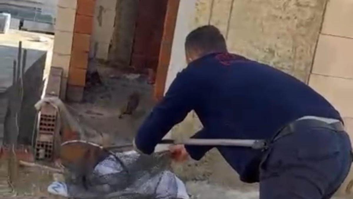 İtfaiye asansörde kalan kedi için seferber oldu!