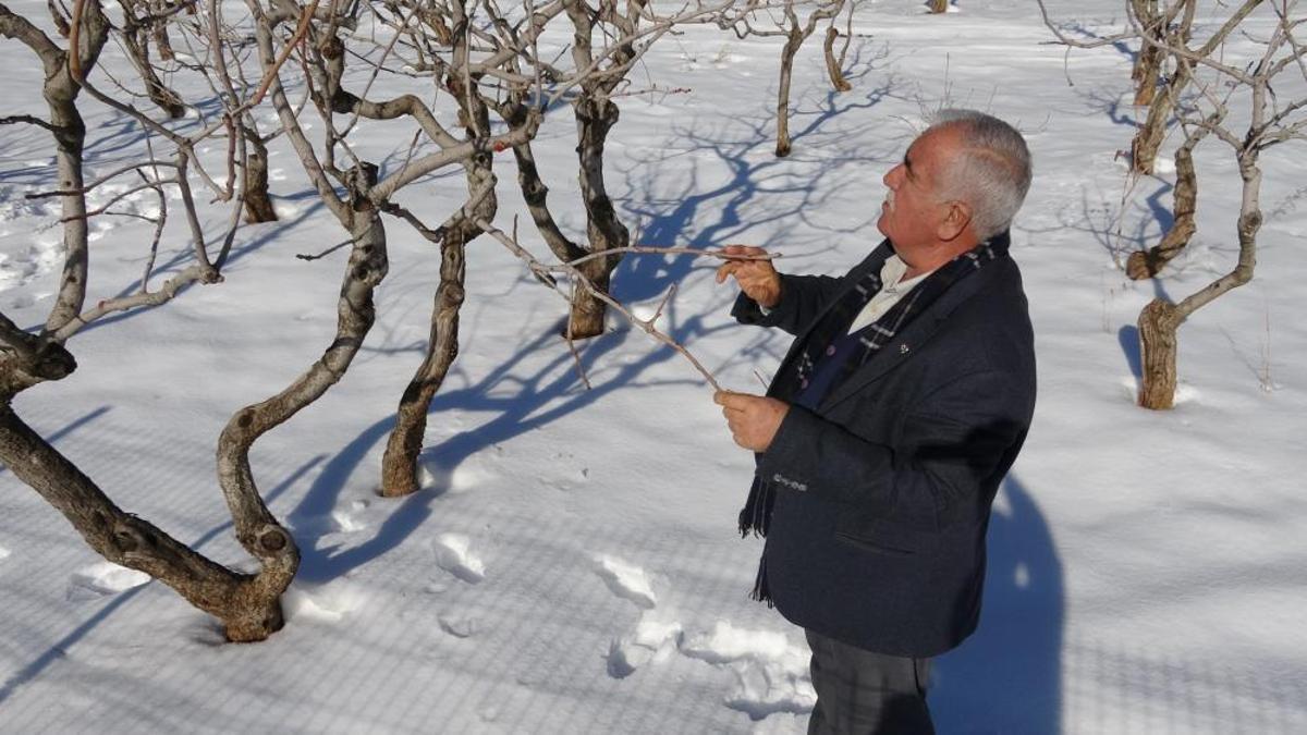 Kar yağışı çiftçinin yüzünü güldürdü! Yeni sezon için umutlar yeşerdi