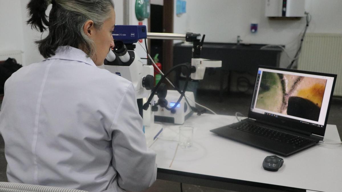 Kayseri’de müzedeki ve kazı çalışmalarında bulunan eserler konservasyon laboratuvarında temizleniyor