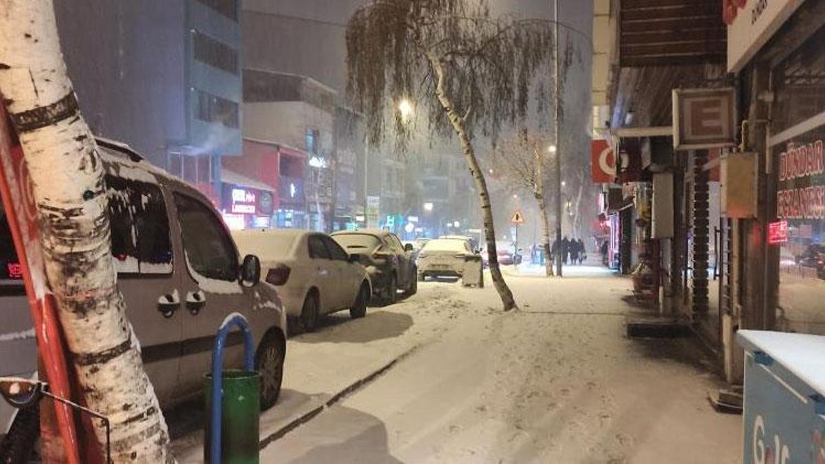 Ardahan'da kar yağışı ve dondurucu soğuklar etkili oldu