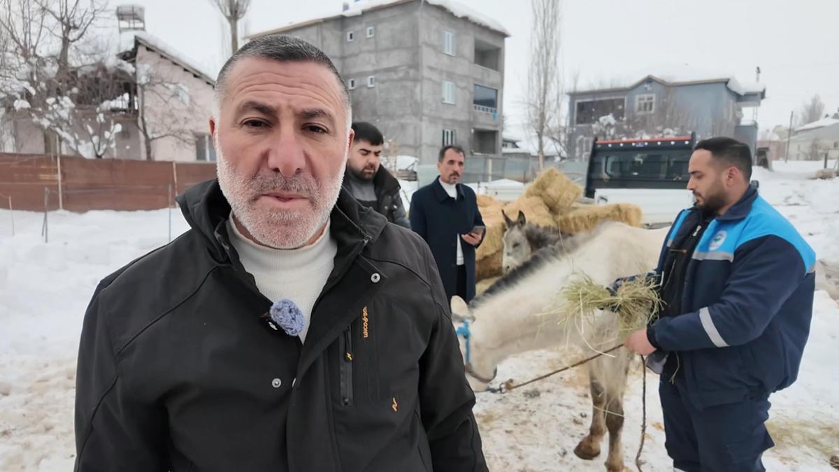 Sokağa terkedilen hayvanlara sahip çıkan besiciye yem desteği