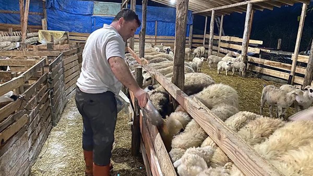 Sinoplu gençler sıfır faizli krediyle kurdu, şimdi taleplere yetişemiyor! 10 ayda ikiye katladılar