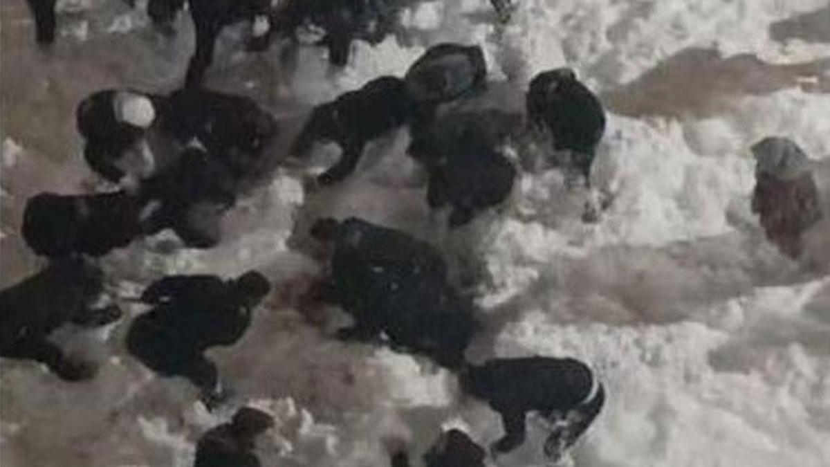 Çatıdan düşen kar kütlesinin altında kalan öğrenci yaralandı