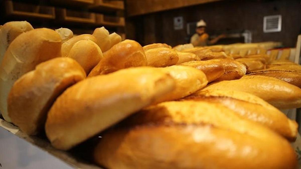 Adana'da devreye alındı, üretim başladı: Artık daha ucuza satılacak