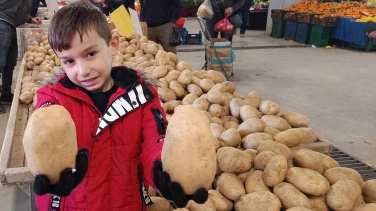 Manisa Sarıgöl'de dev patatesler ilgi odağı oldu