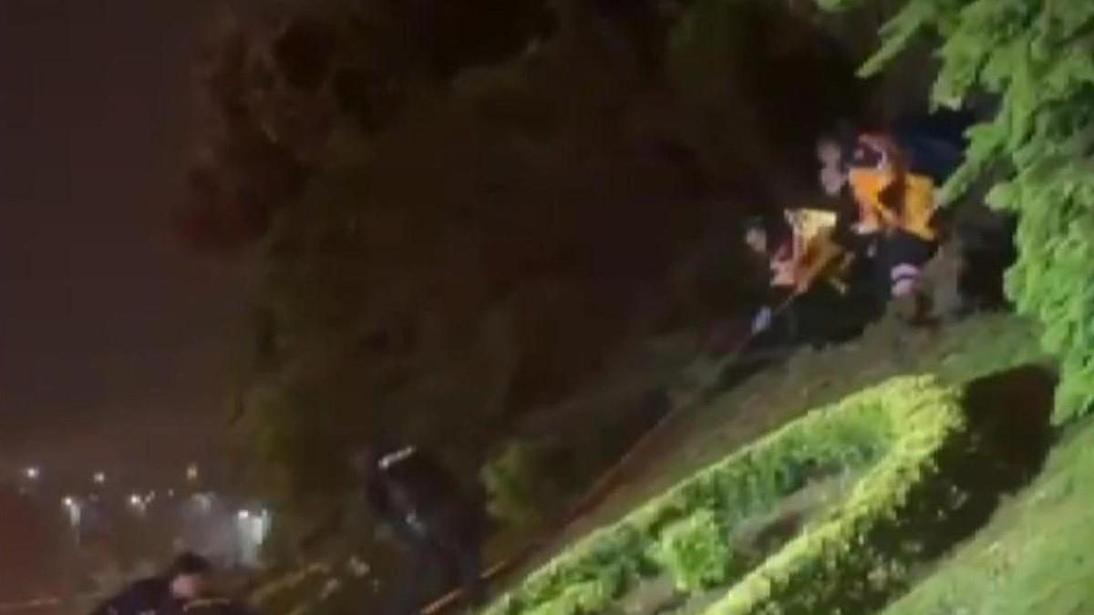 İstanbul - Zeytinburnu'nda devrilen ağacın altında kalan kişi hastaneye kaldırıldı