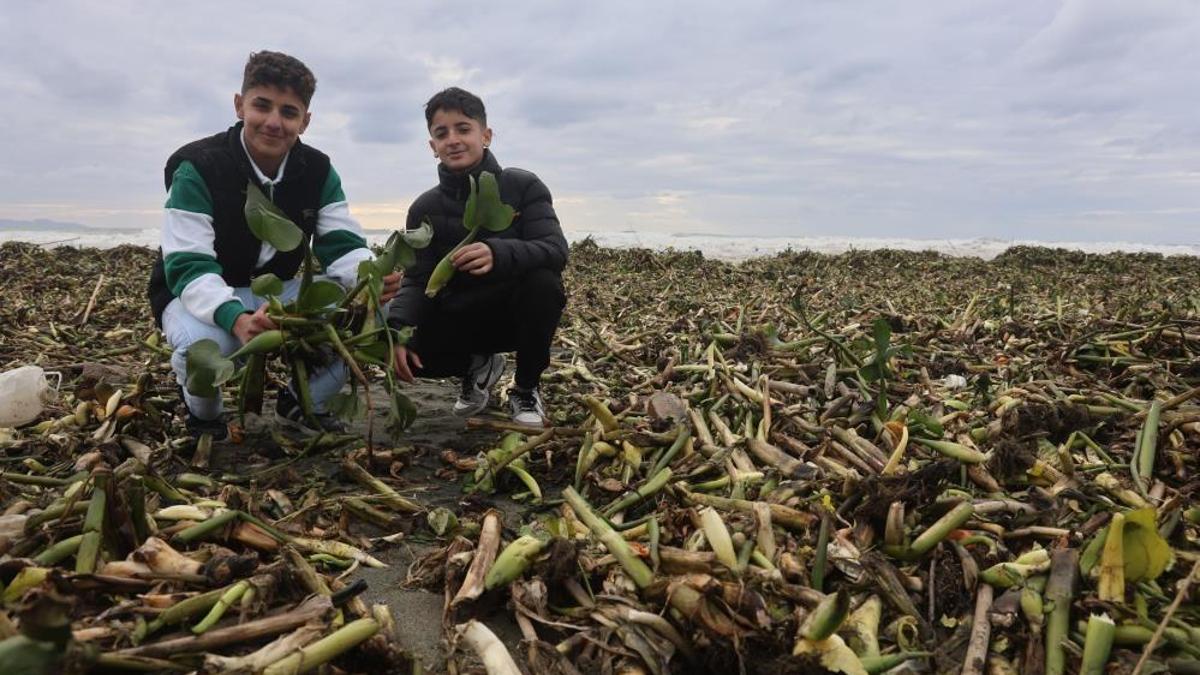 Denizin dibinden çıktı, Hatay sahilini doldurdu: Her kış geliyor