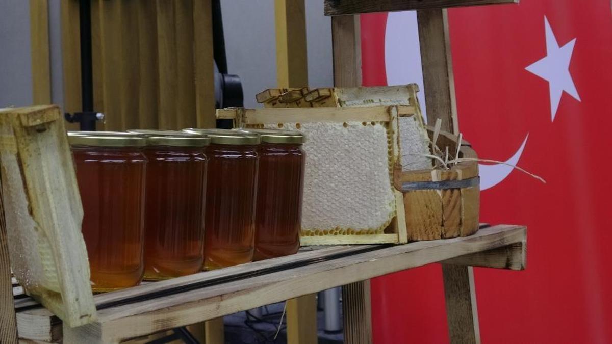 1 kilosu 11 bin 118 Euro! Ilgaz balı Guinness Rekorlar Kitabı'na girdi