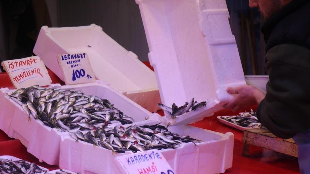 Hamsi Gürcistan'a istavrit Sakarya'ya kaçtı: Tezgahlar doldu taştı