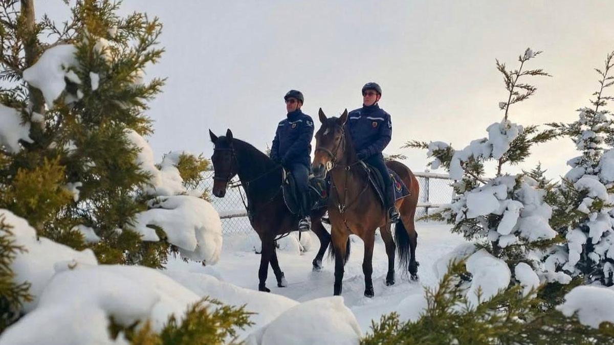 Atlı jandarma birlikleri, kaçak avcılara karşı devriye faaliyeti gerçekleştirdi