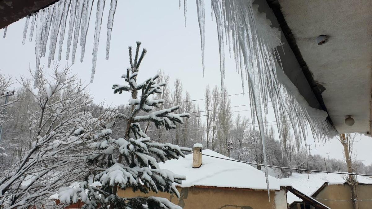 Bir rüzgâr yetti, Van dondu