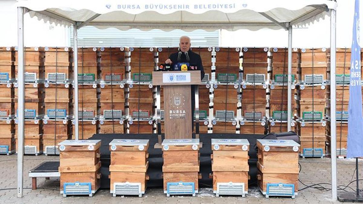 Bursa'da üreticiye destek! Dağ yöresinde harekete geçildi