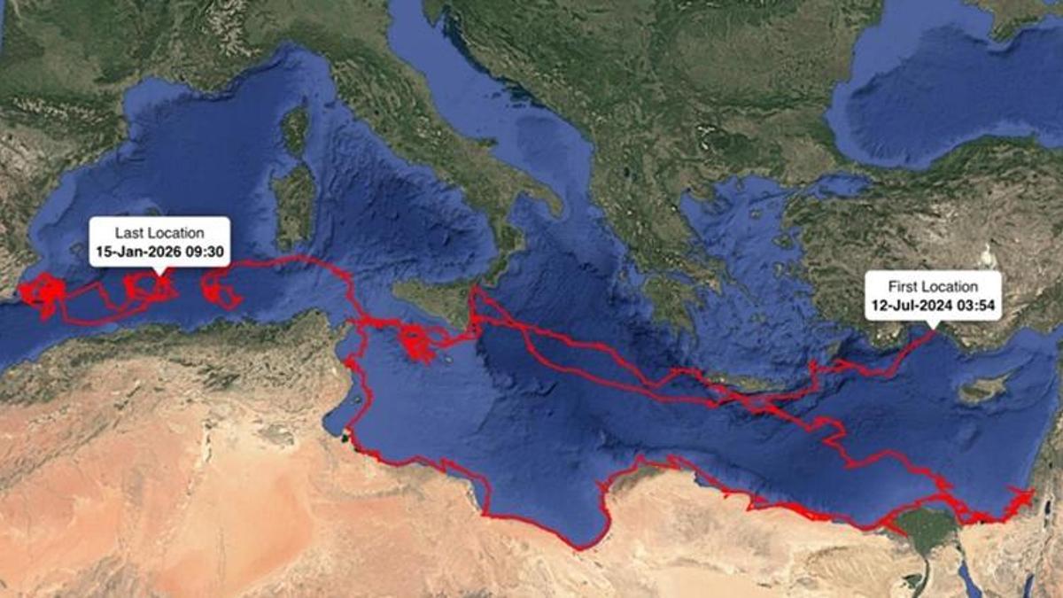 Antalya'dan yola çıktı, daha önce görülmedi! 1,5 yılda 24 bin kilometre yaptı