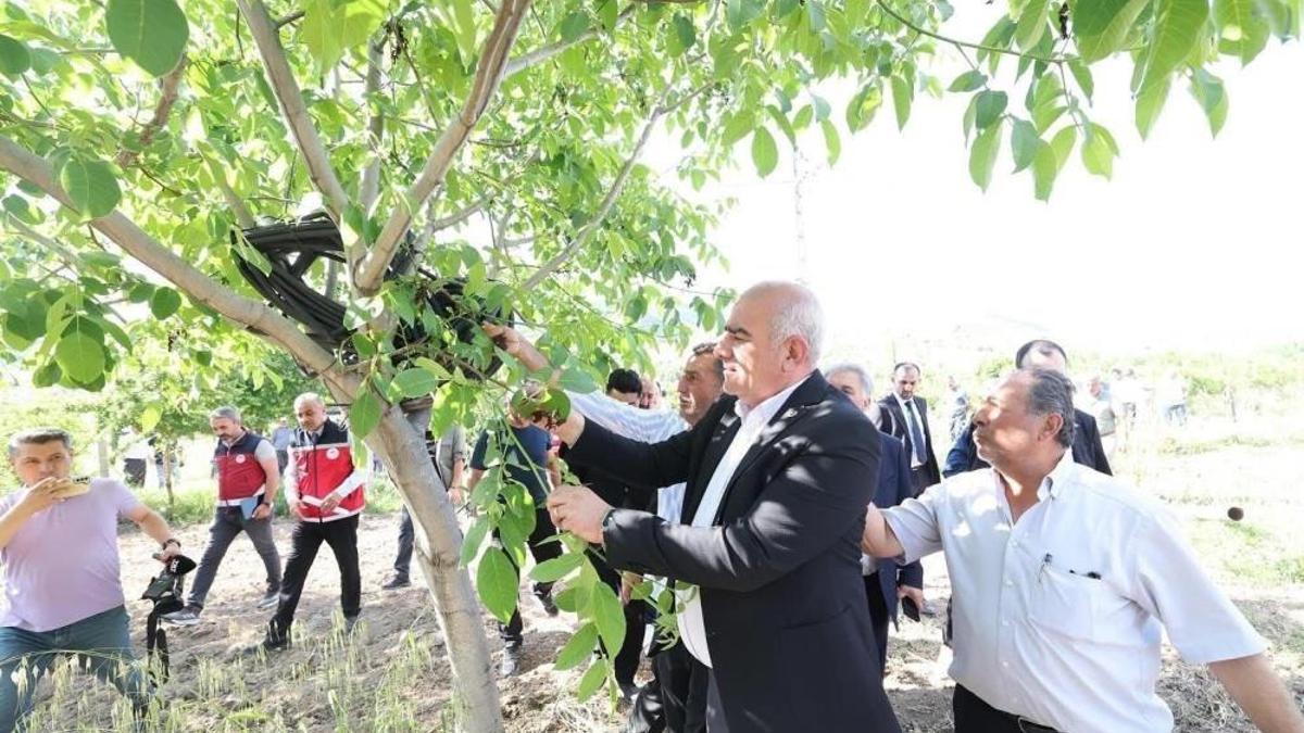 Adıyaman'da dev destek: 3 ürün için ödemeler başladı
