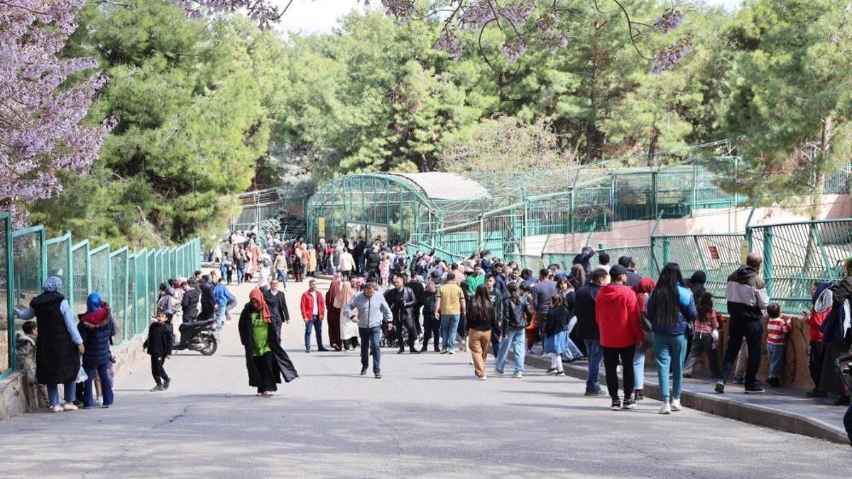 Türkiye'nin en büyük Gaziantep'te! 2025'te ziyaretçi rekoru kırdı