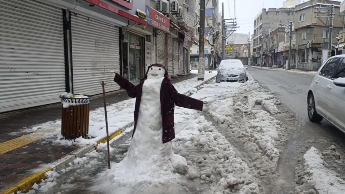 Nusaybin’de kar yağışı etkili oldu
