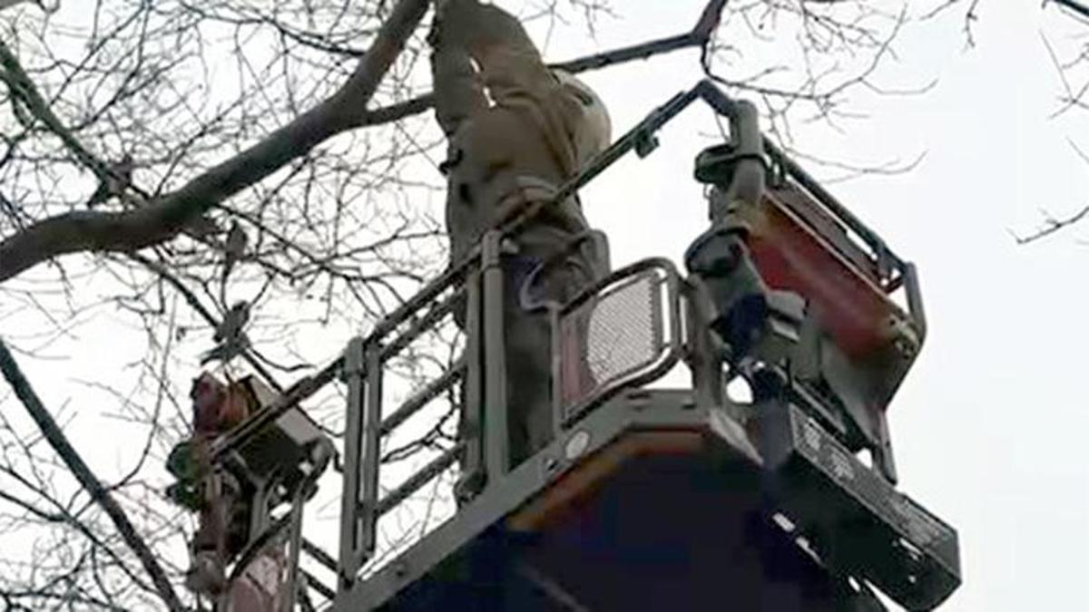 Avcılar’da güvercin seferberliği: İtfaiye zamanla yarıştı