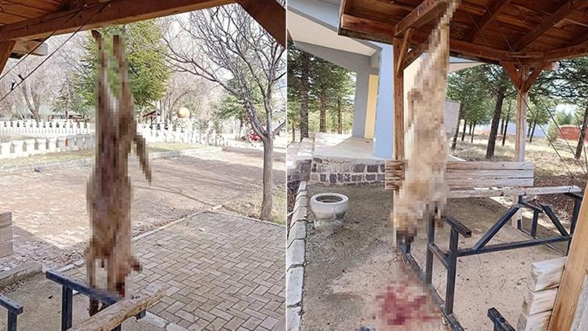 Afyon'da korkunç olay! İşkence düzeneği kurulup acımasızca katledildi