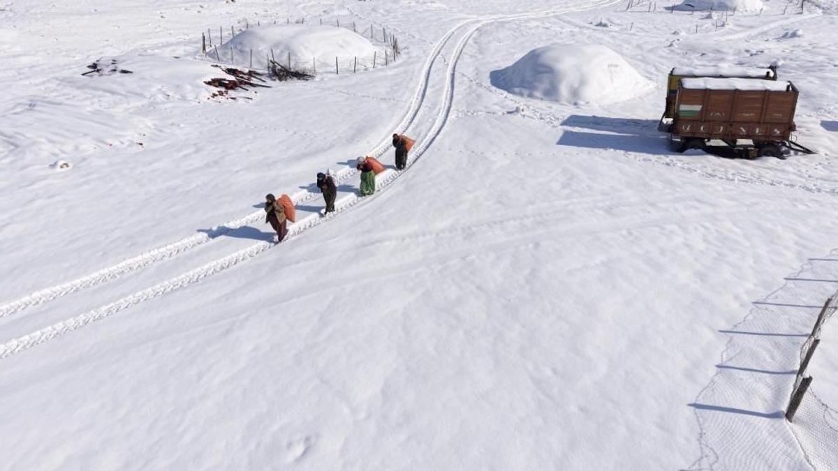 Mardin'de görüldü: Önlerinde kar, sırtlarında yük!