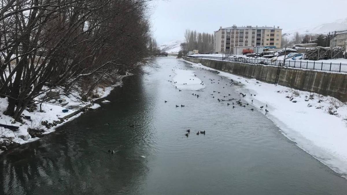 Bayburt'u mesken tuttular: 10 yıldır aralıksız geliyorlar