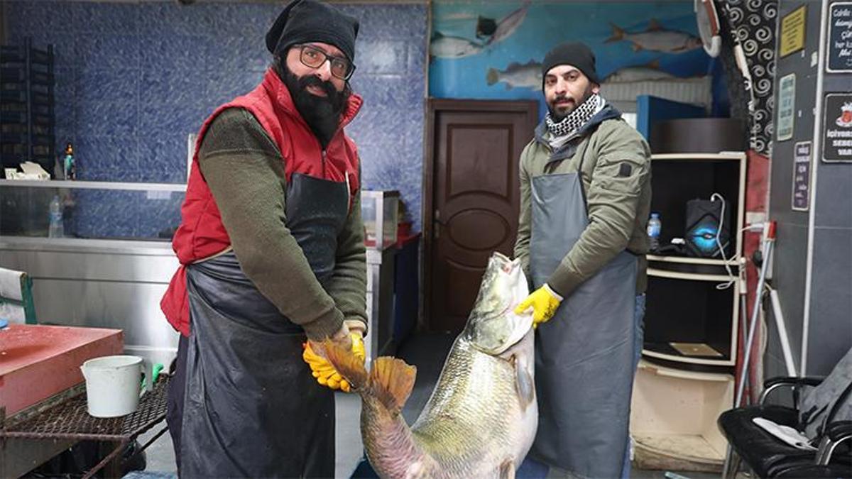 Denizi olmayan kentte yakalandı! Tam 78 kilo, iki kişi zor taşıdı