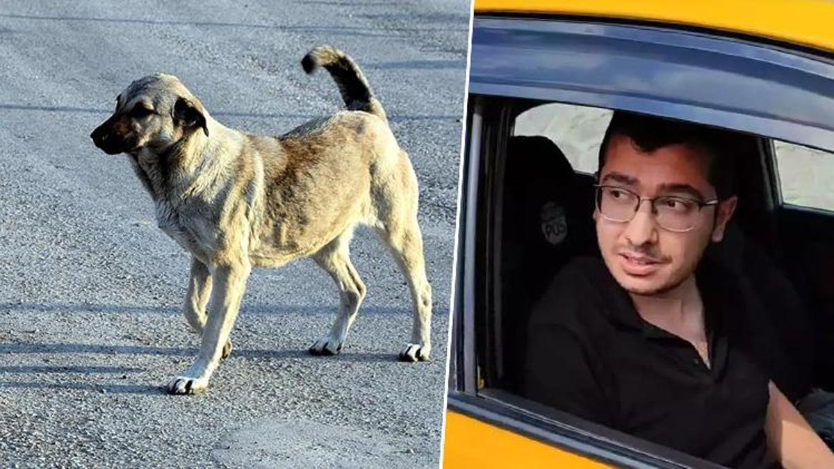 Doktora 'Köpekleri öldürmek'ten verilen hüküm kaldırıldı! 9 yıl hapis cezasına çarptırıldı