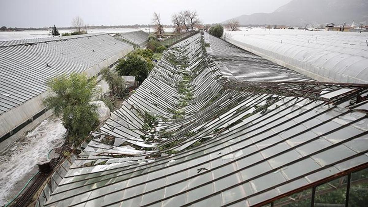 Muğla'da hortum afeti sonrası hasar tespit çalışması başladı! Bakanlık desteği yolda
