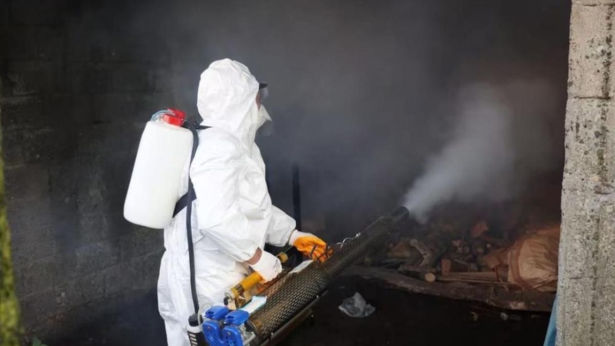 Ordu'da kahverengi kokarcaya karşı seferberlik devam ediyor! 300 bin kışlakta ilaçlama başladı