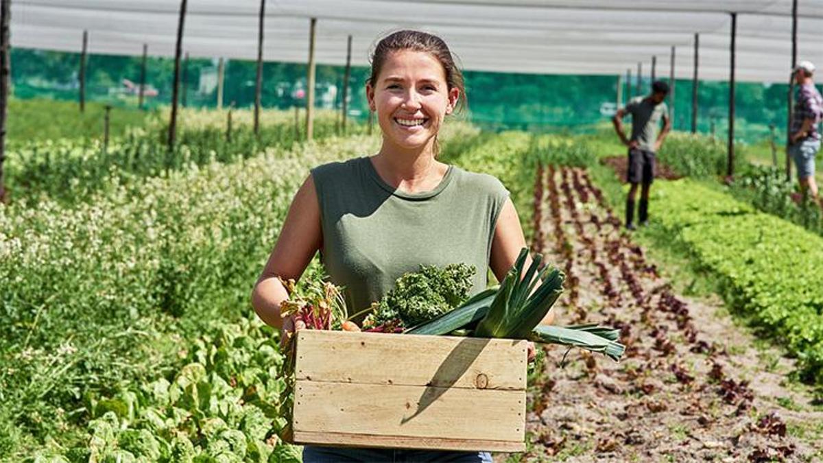 Genç girişimcilere tarımda büyük fırsat: Devlet destekleriyle iş kurun