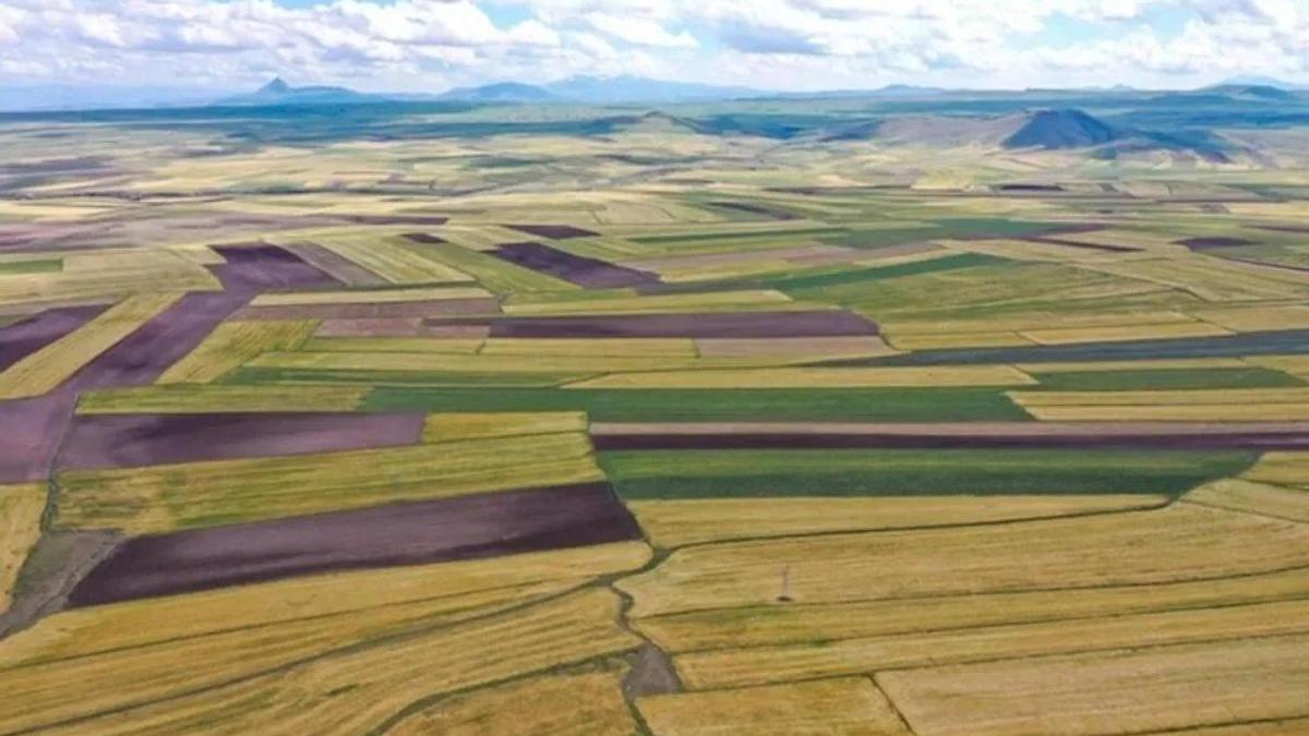 Türkiye birincisi Konya oldu! Yüzde 50 artış var