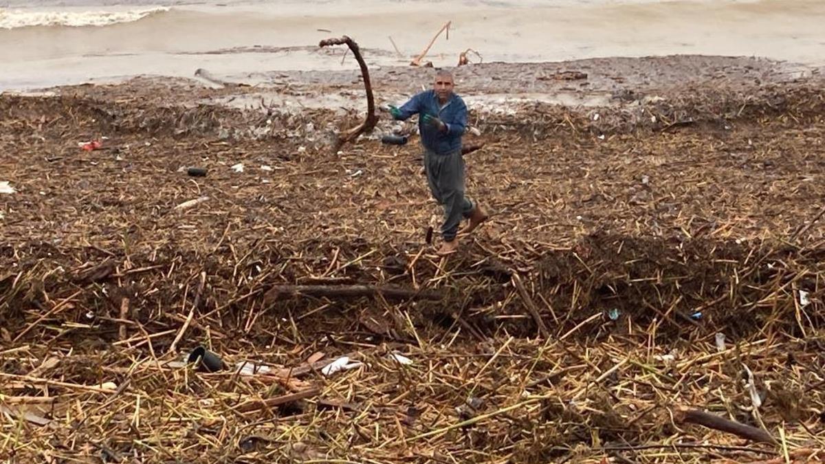Mersin'de böylesi görülmedi: Sahillerde ilk kez karşılaştılar
