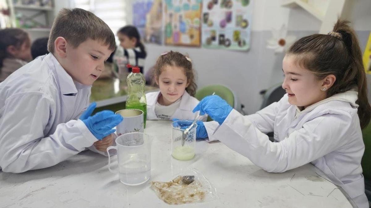 Samsun'da sömestr tatilinde devreye alındı: 15 temada eğitim yapıldı