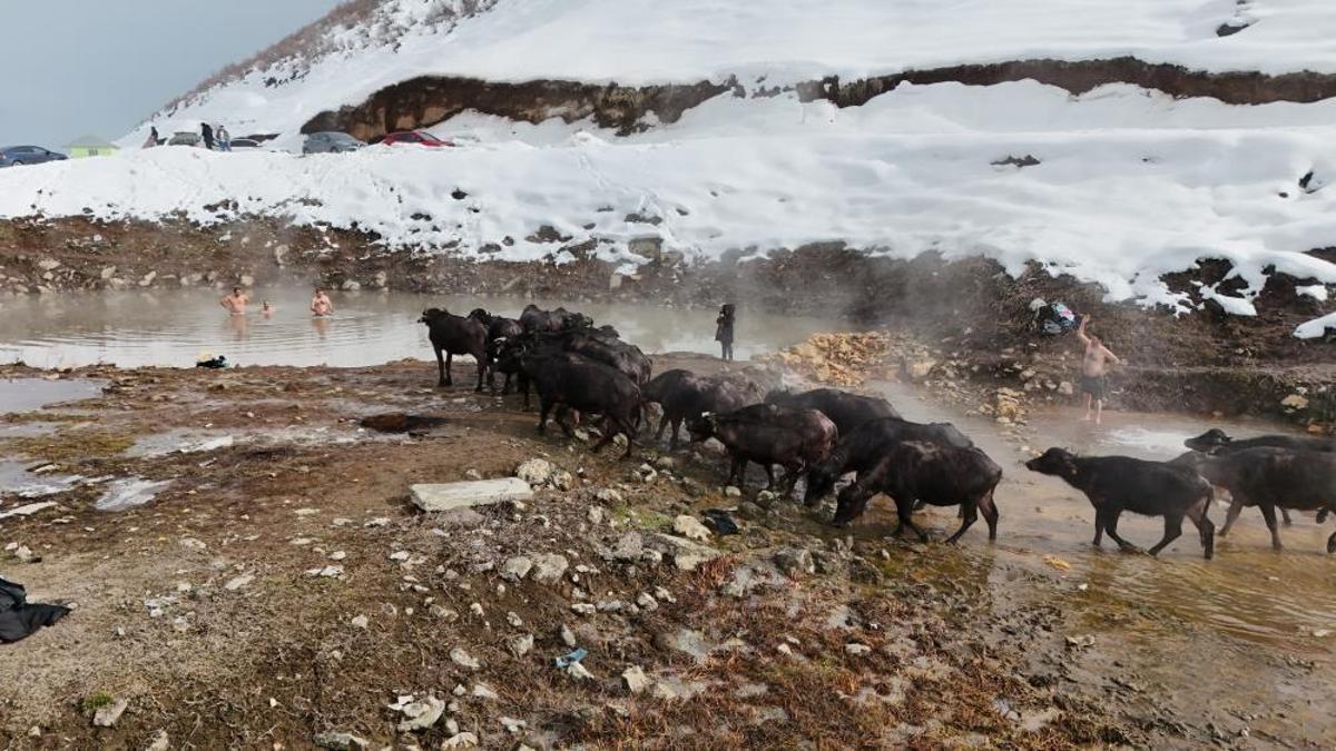 Bitlis'te eksi 25 derecede kaplıca keyfi!