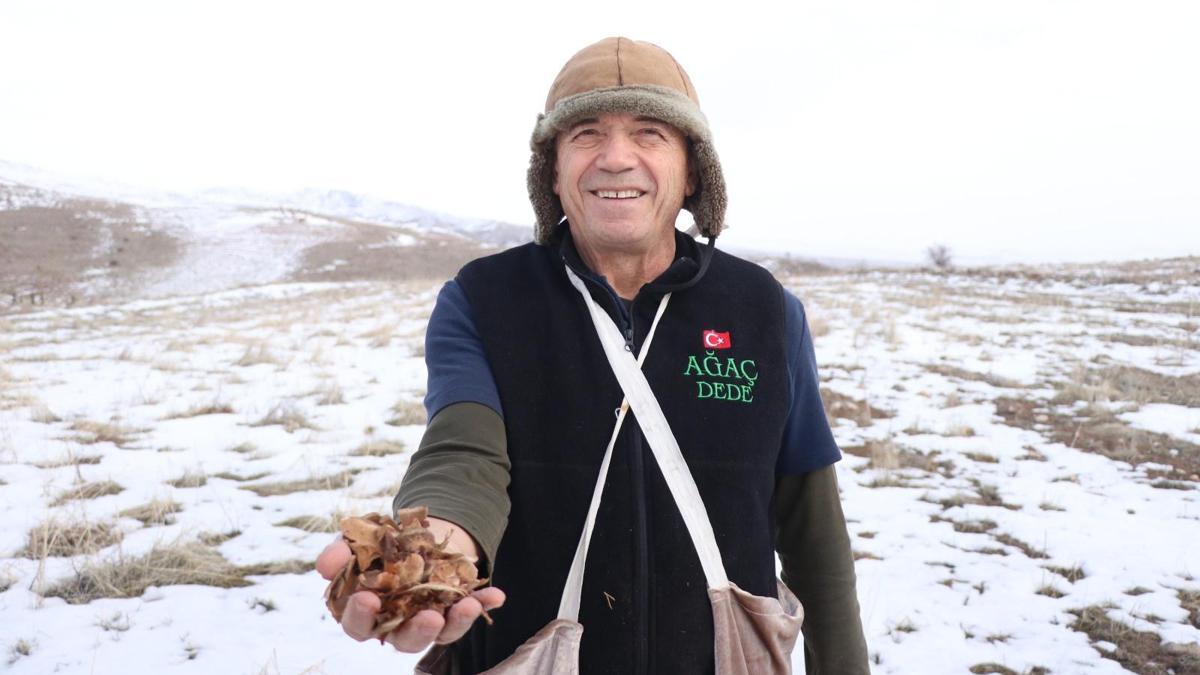 Kayseri’nin ‘Ağaç Dede’si 1 milyondan fazla fidanı toprakla buluşturdu